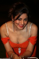 Shilpi Sharma Spicy Photos